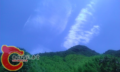 IMAG1169.jpg