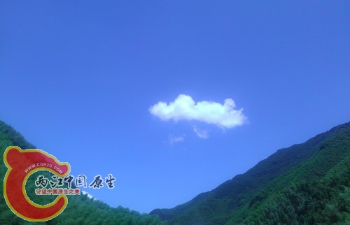 IMAG1170.jpg