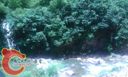 IMAG1172.jpg