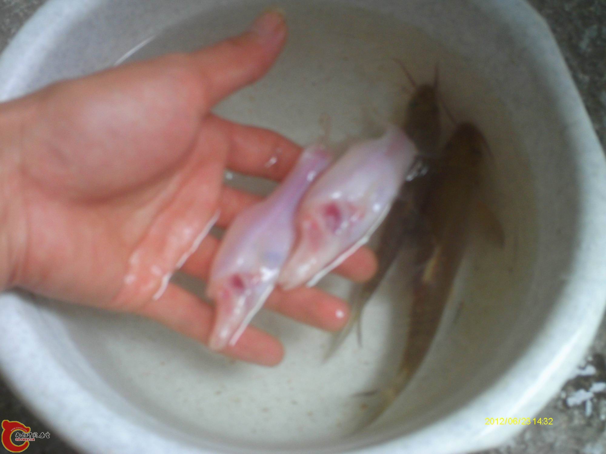 复件 IMAG0068.JPG