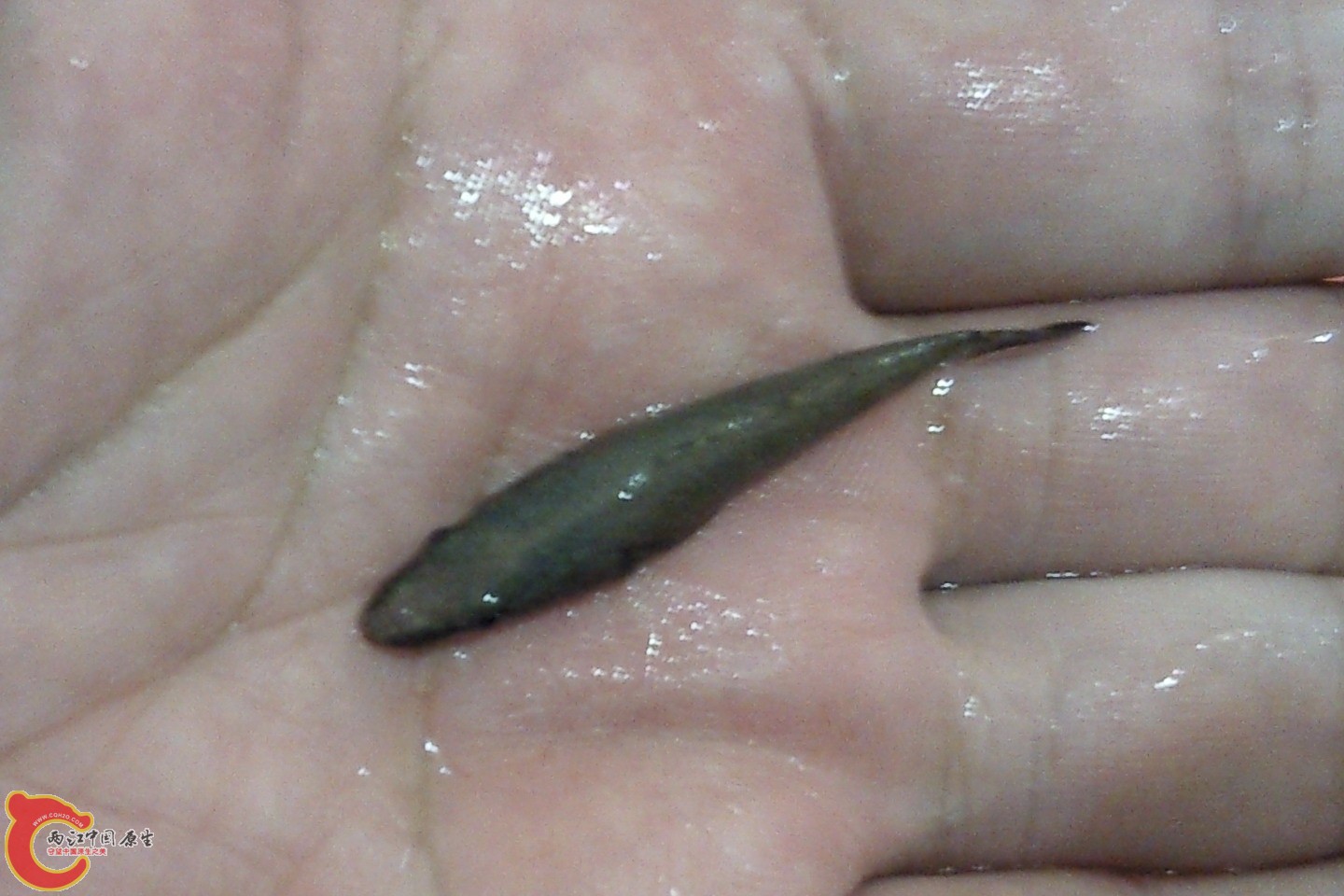 SNC02404.jpg