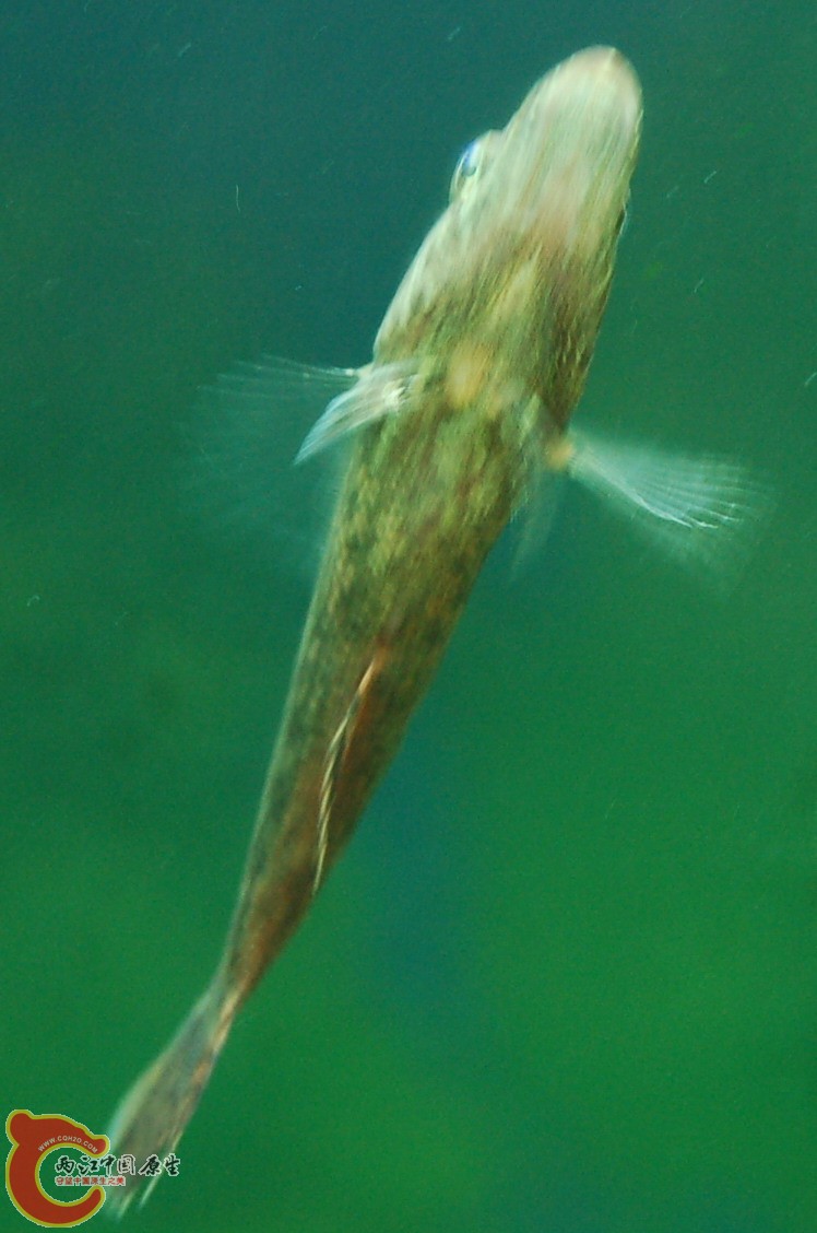 DSC_0140.JPG