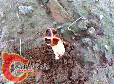 照片 066.jpg