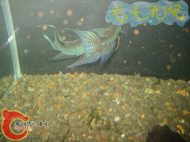 IMG_1577.jpg