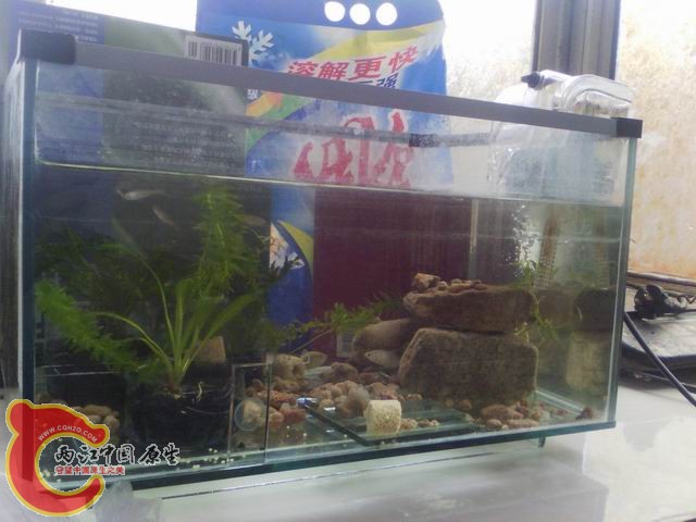 调整大小 IMG_20120725_124204.jpg