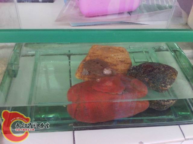 调整大小 IMG_20120725_125901.jpg