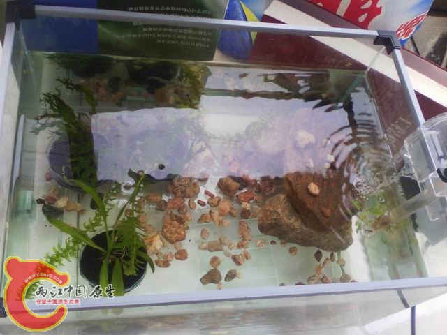 调整大小 IMG_20120725_124247.jpg