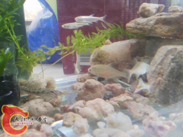 调整大小 IMG_20120725_130156.jpg