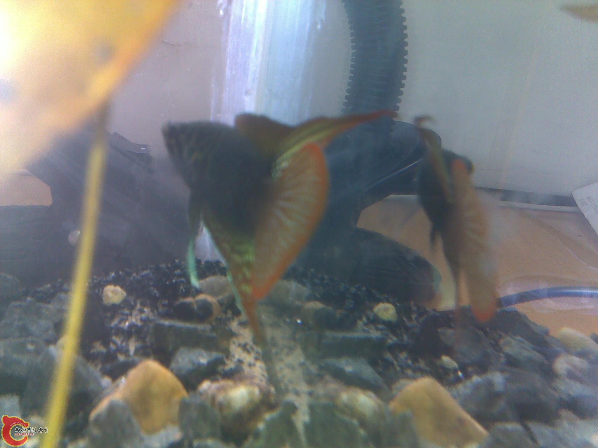 090720122021.jpg