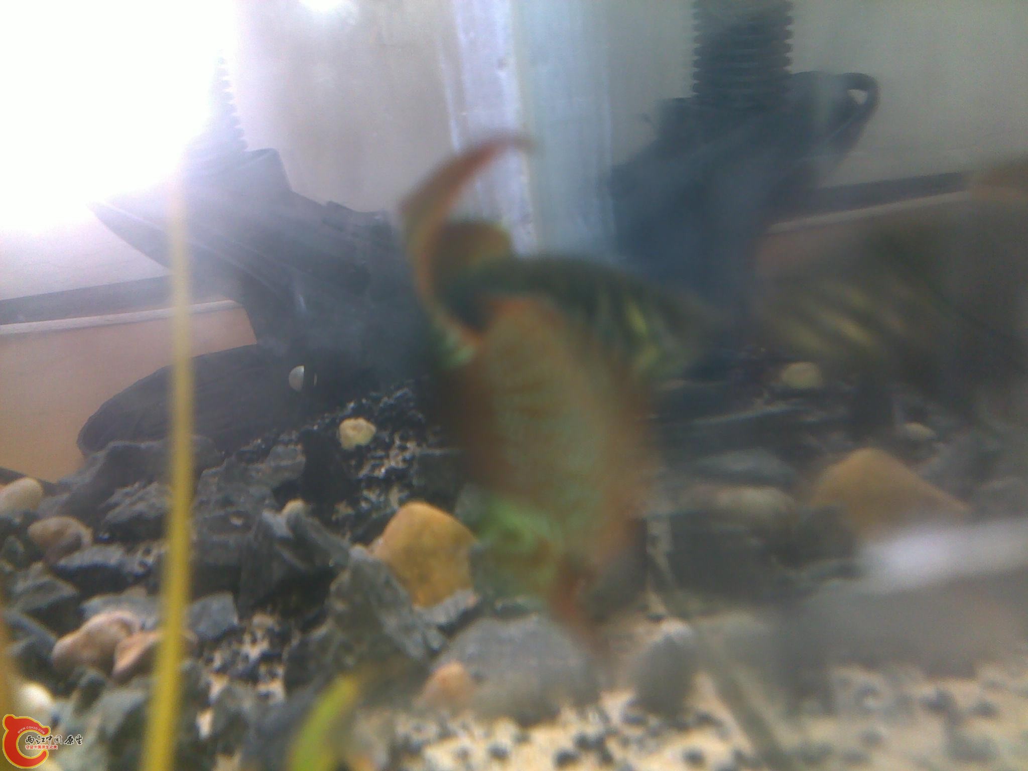090720122028.jpg