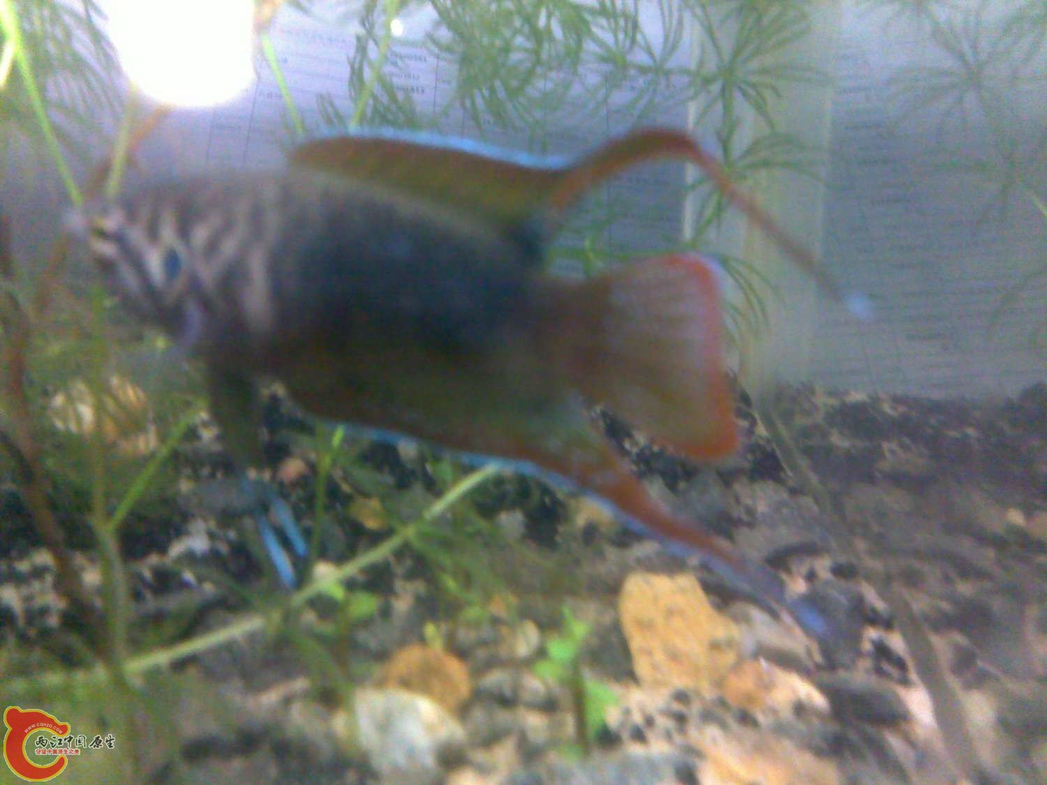 250720122042.jpg