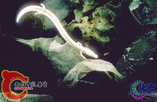 20100723121347608.jpg