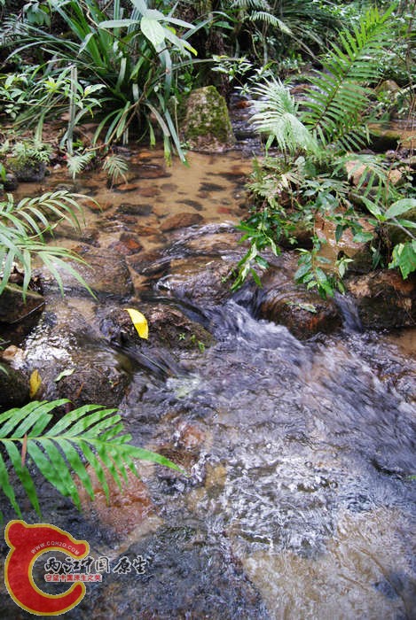 07.jpg