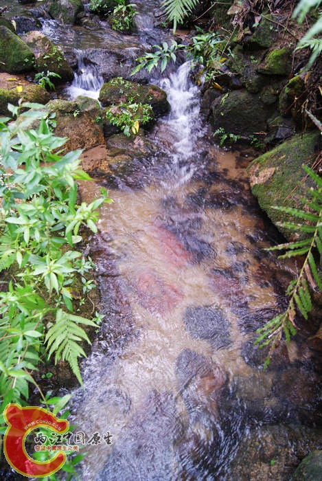 09.jpg
