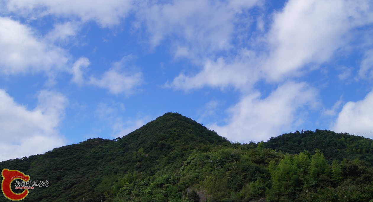 04.jpg