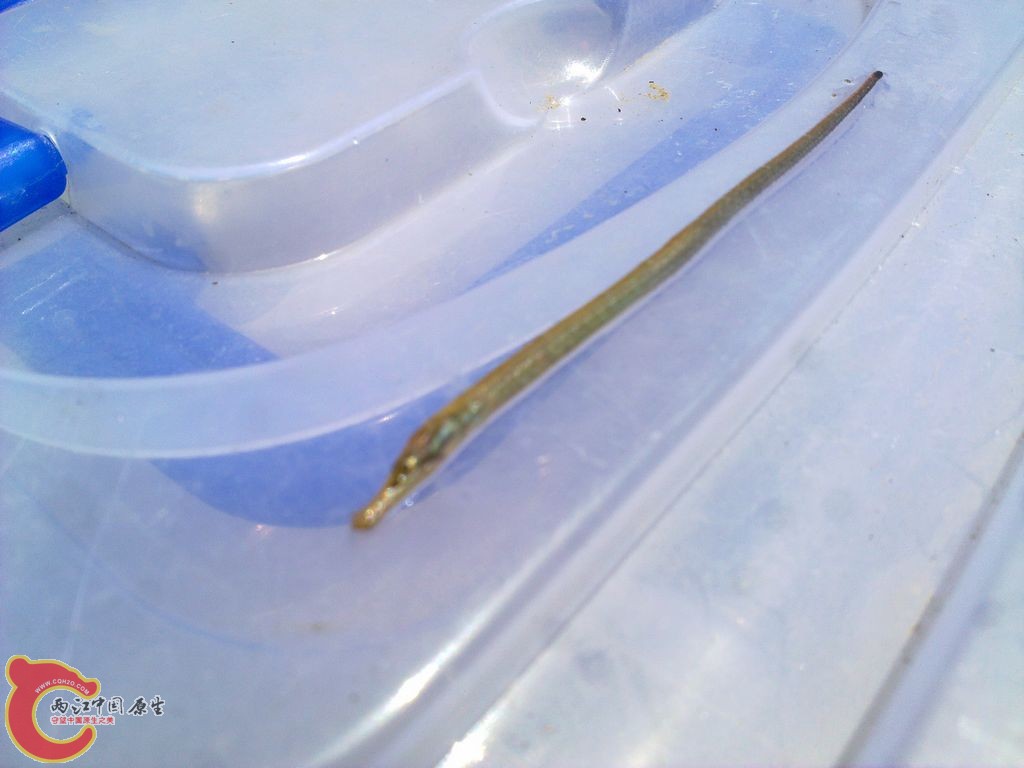 20120728650_nEO_IMG.jpg