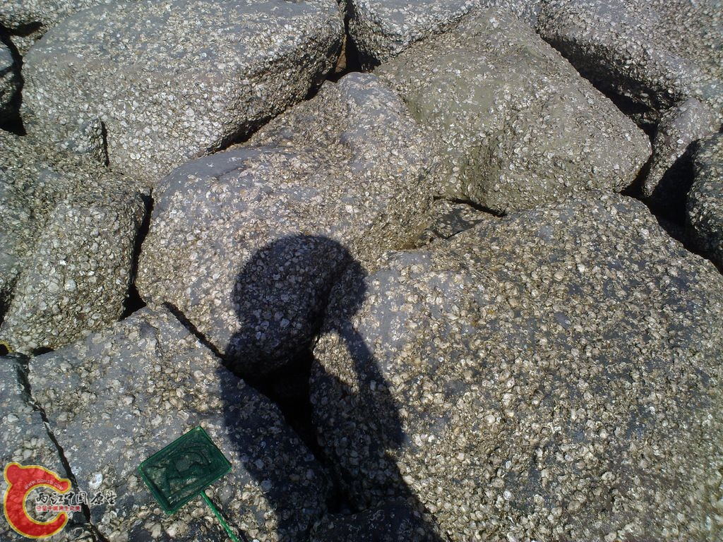 20120728647_nEO_IMG.jpg