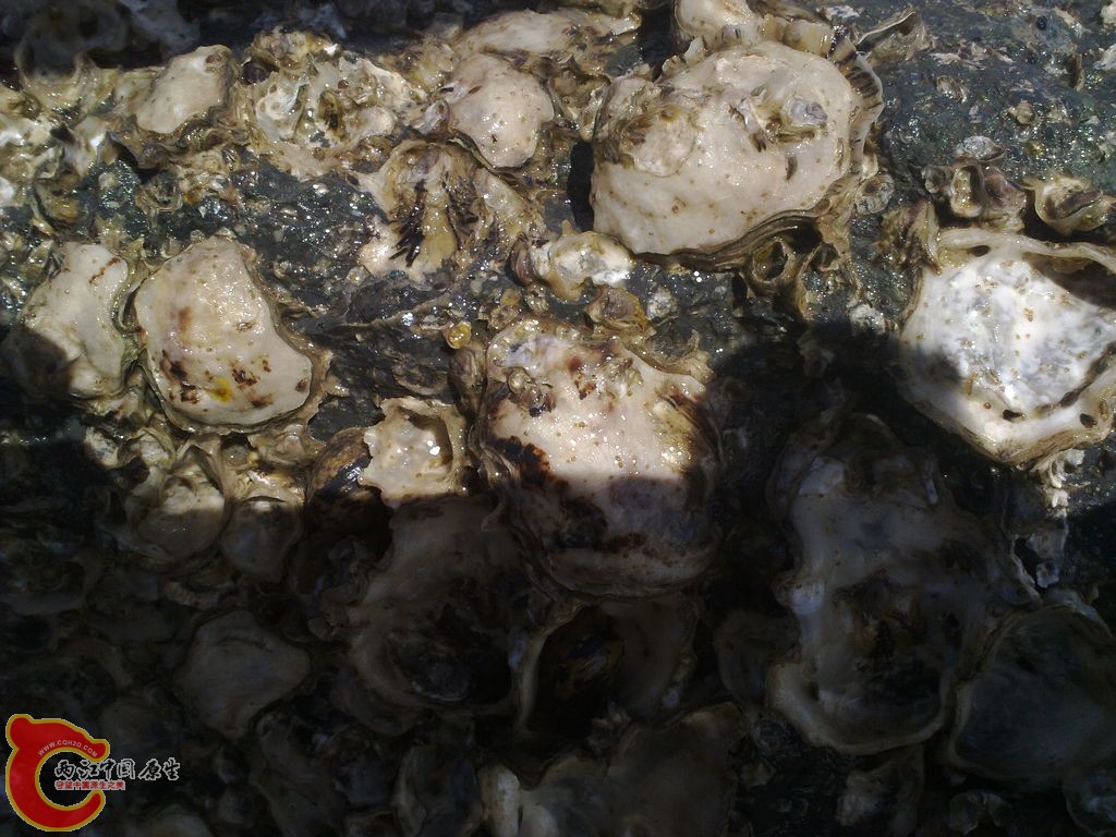 20120728648_nEO_IMG.jpg