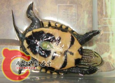 搜狗截图120728_3.jpg