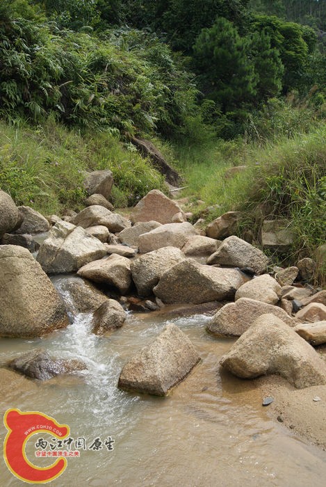 06.jpg