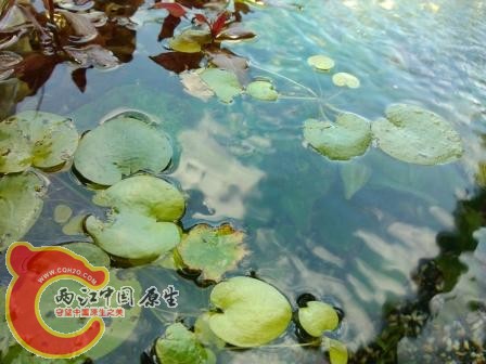 IMG_20120722_115946.jpg