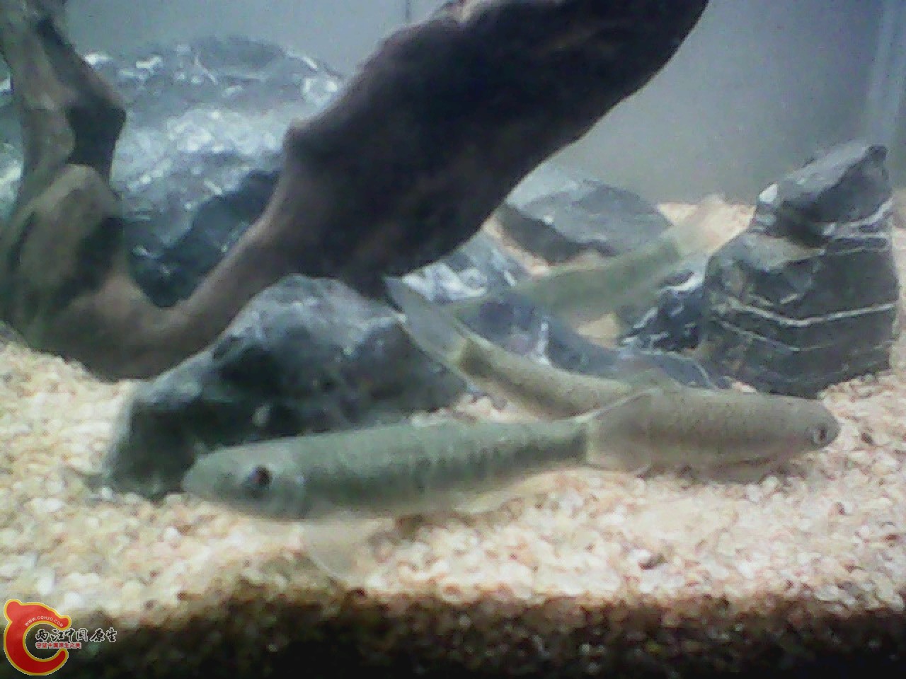 img0728_113927888.jpg
