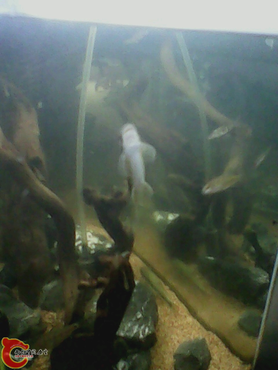 img0728_114820881.jpg