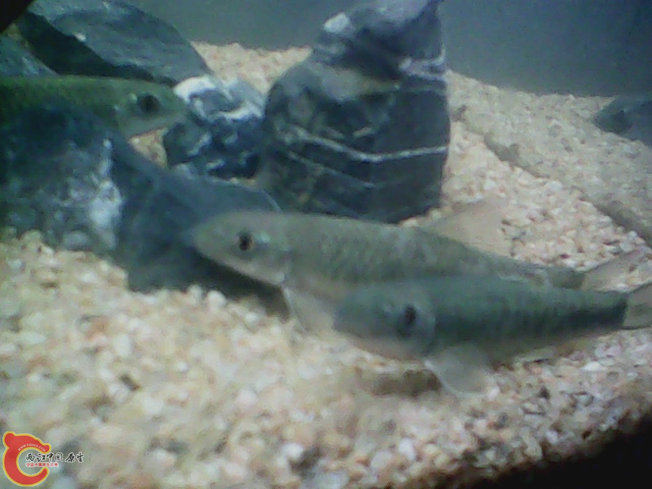 img0728_115014871.jpg