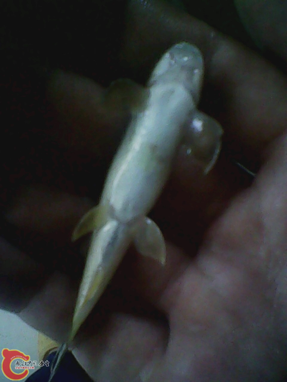 img0726_164620477.jpg