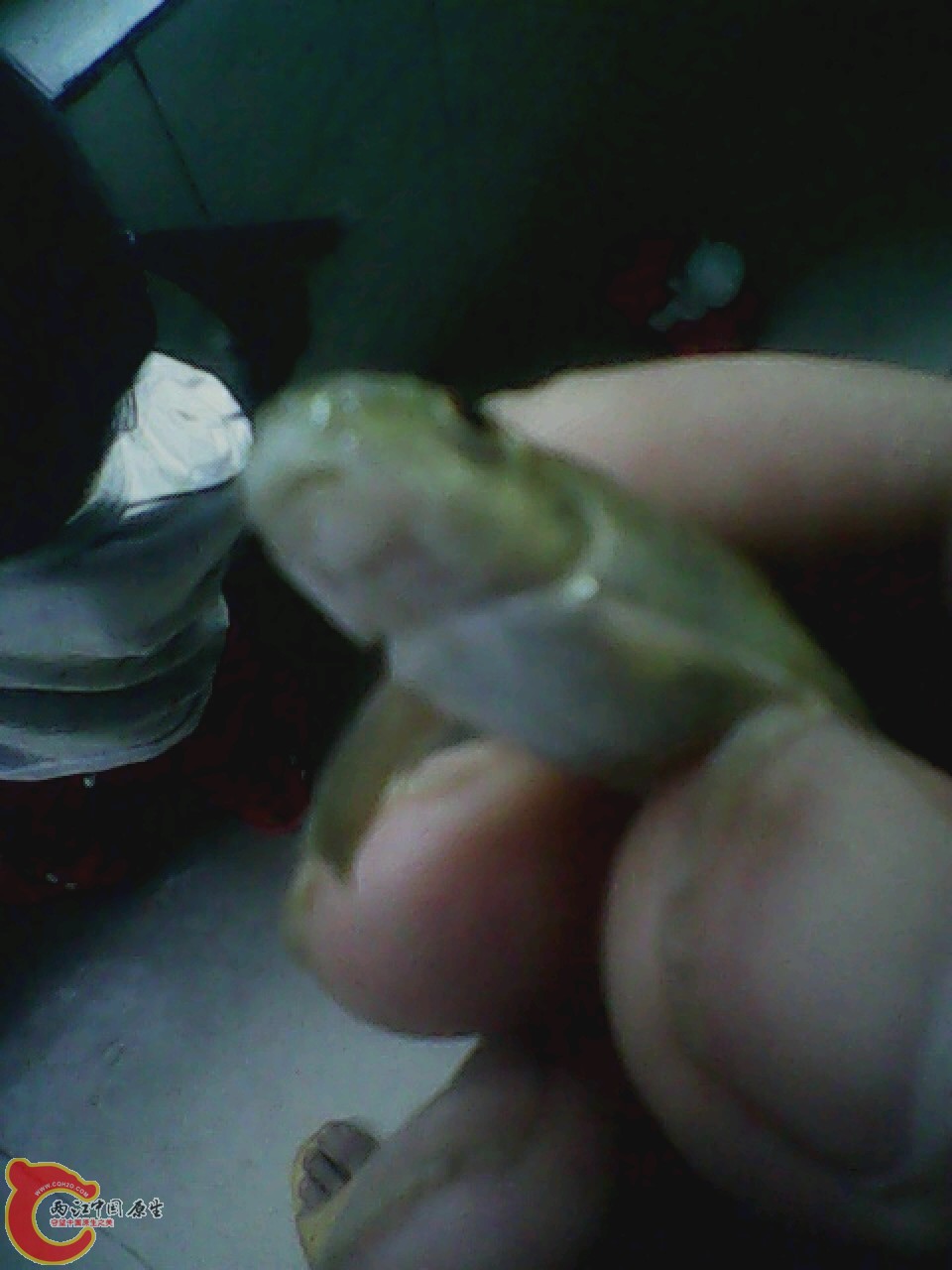 img0726_165321918.jpg