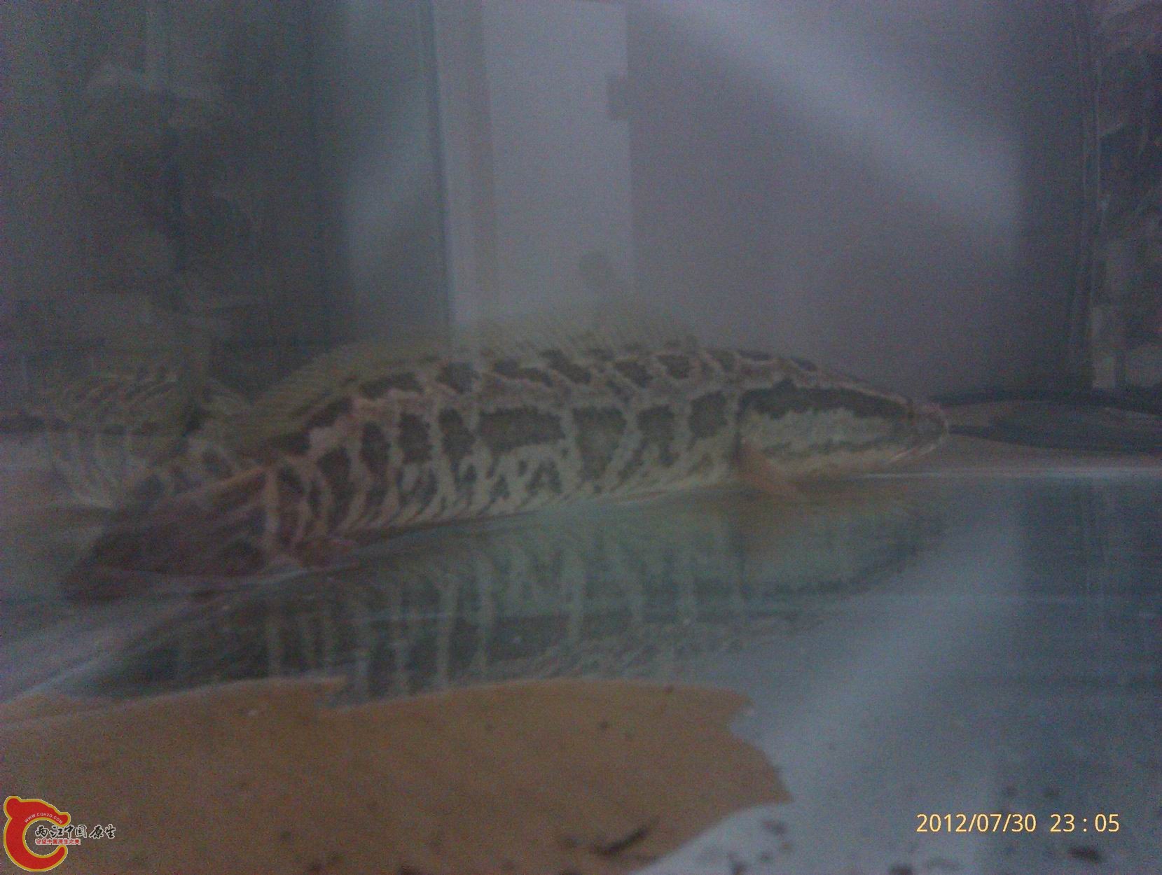 IMAG0540.jpg