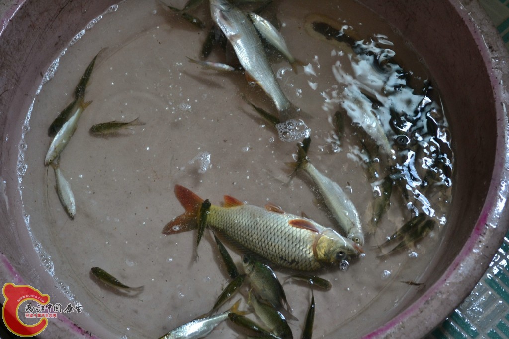 conew_20120730-640.jpg