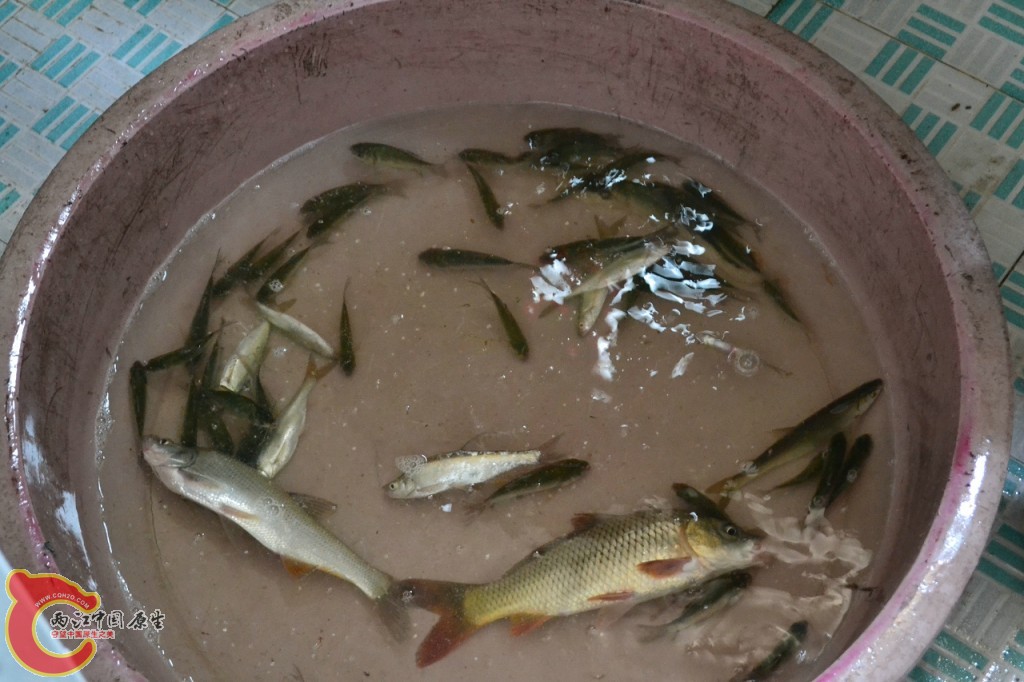 conew_20120730-645.jpg