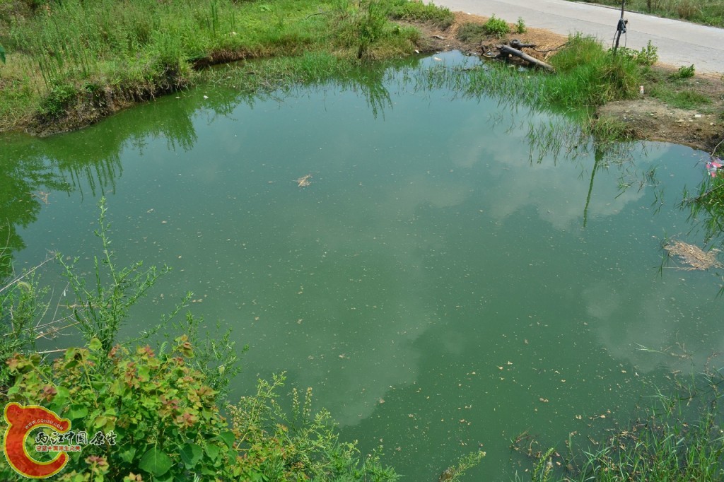 conew_20120730-647.jpg