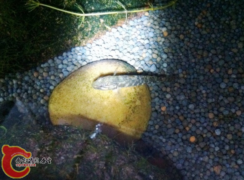 照片 027_conew2.jpg