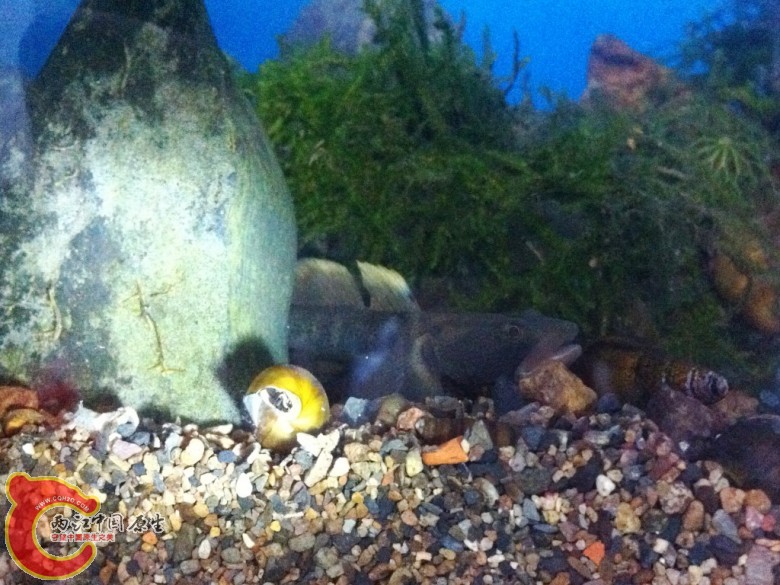 照片 028_conew2.jpg