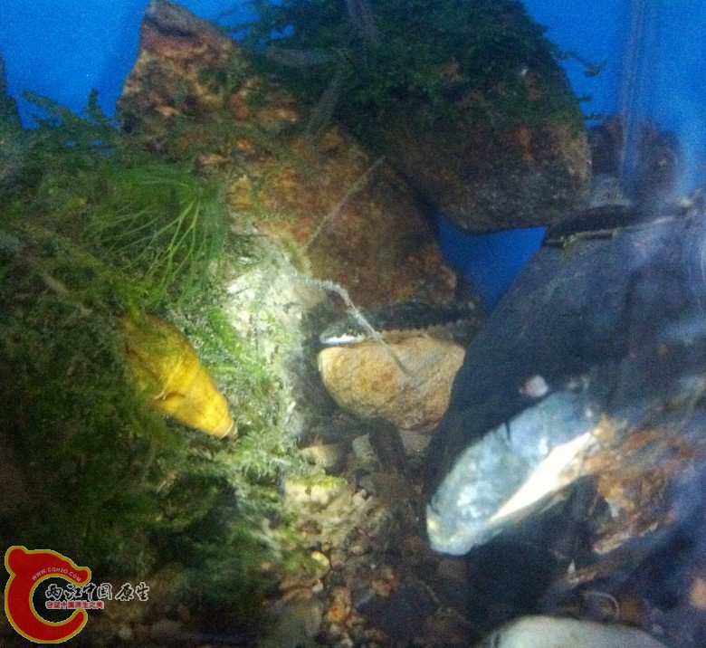 照片 034_conew1.jpg