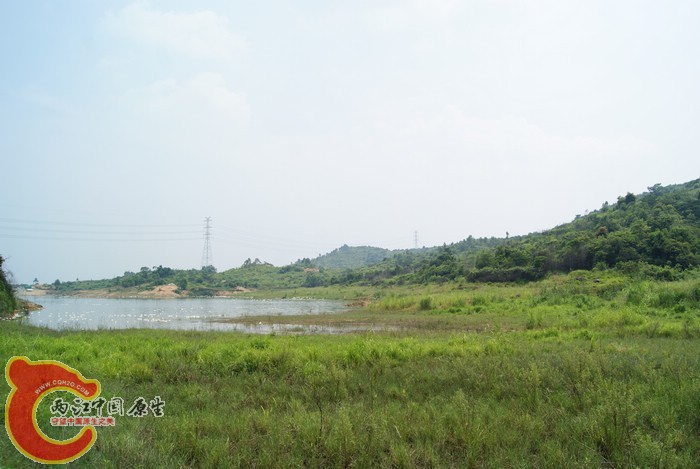 06.jpg