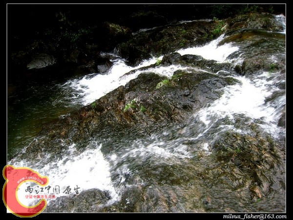 nEO_IMG_58水流激荡.jpg