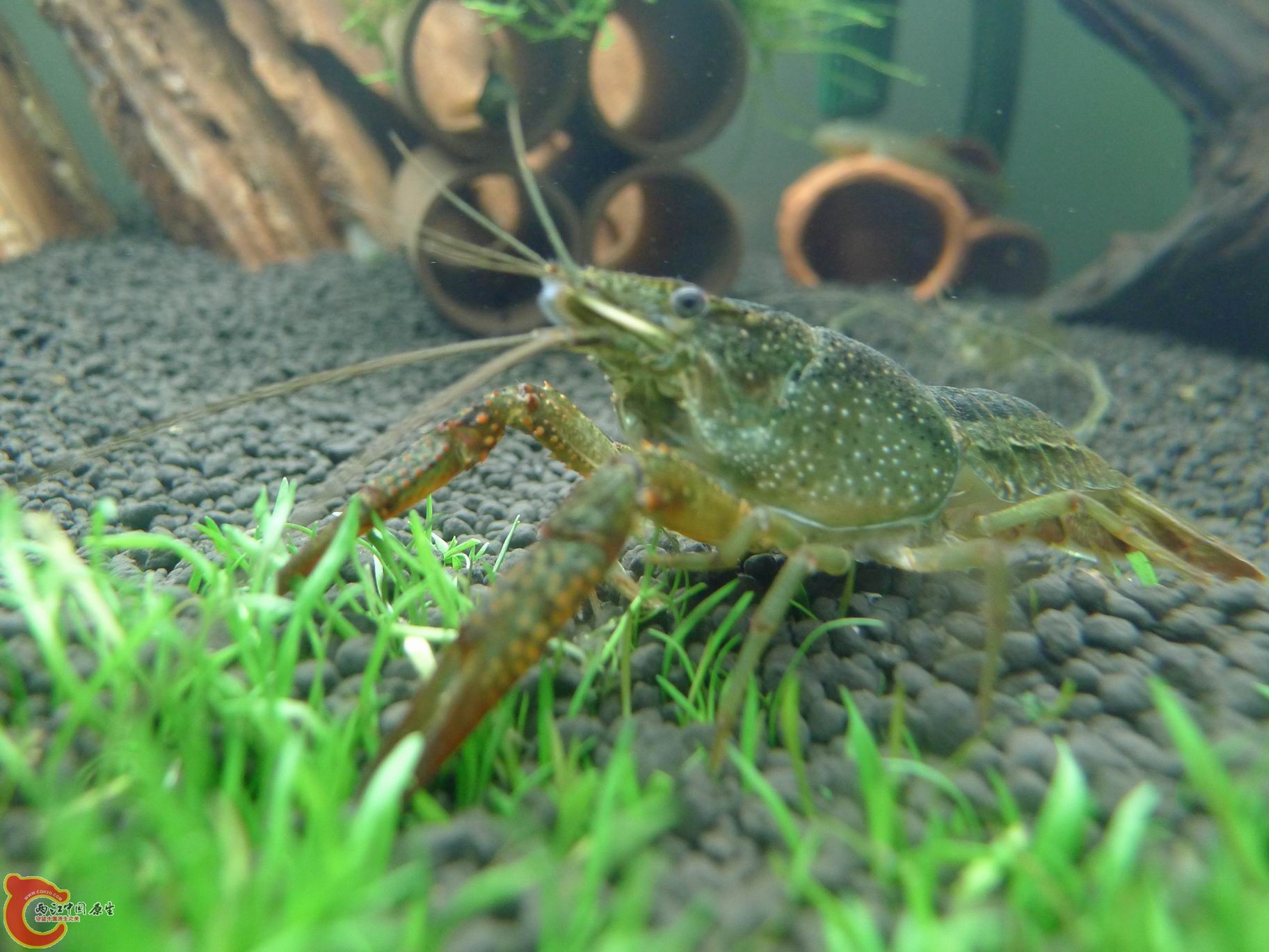 2012 057.jpg