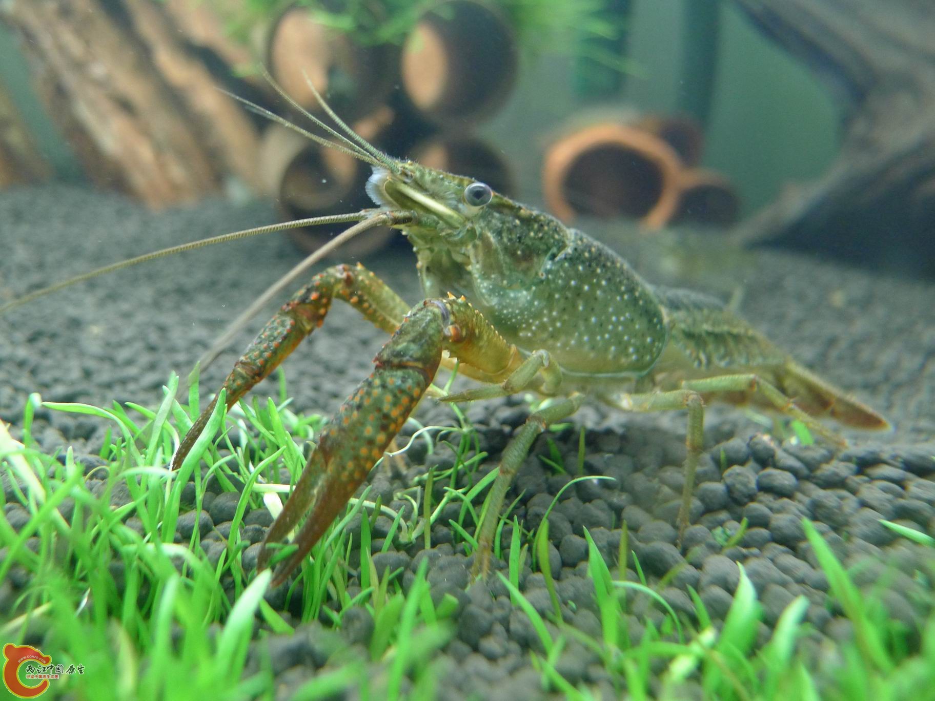 2012 056.jpg
