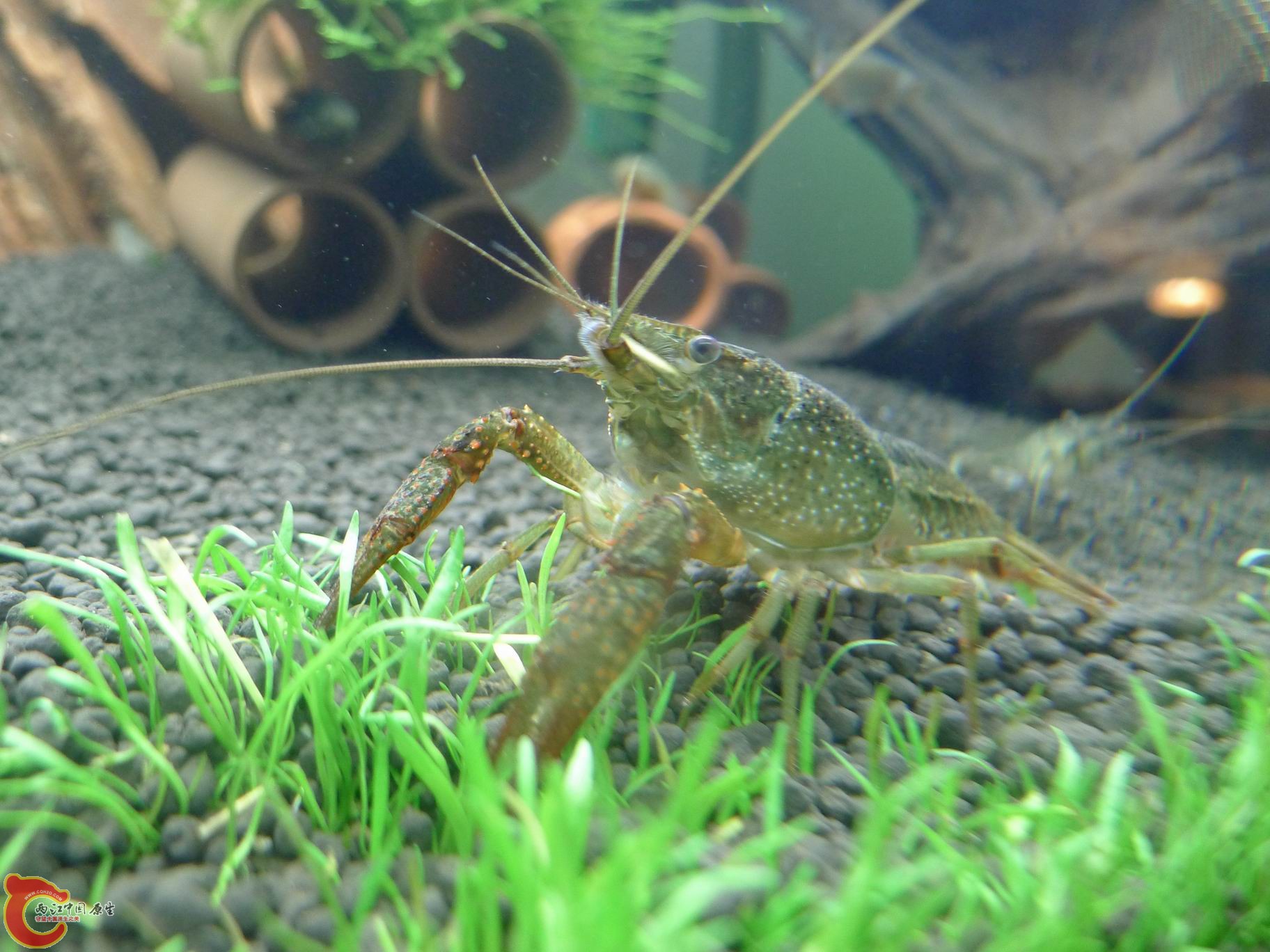 2012 059.jpg