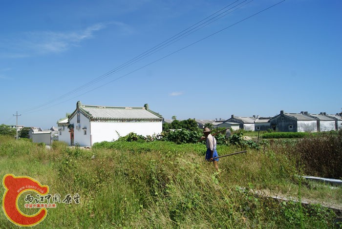 07.jpg