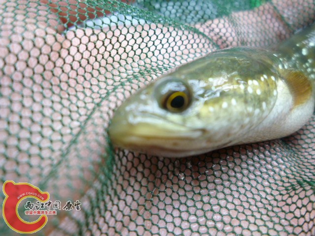 P1070023.JPG