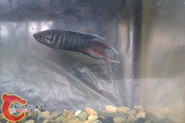 IMAG0995.jpg