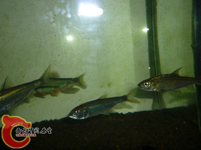 P1070048.JPG