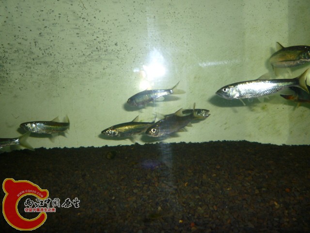 P1070091.JPG