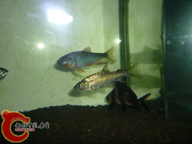 P1070097.JPG