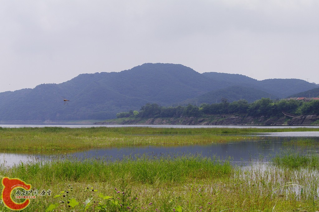 _IGP8430.jpg