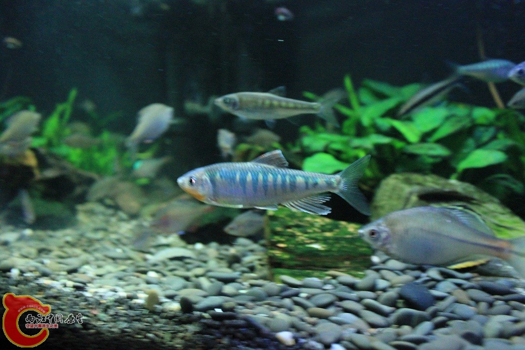 IMG_3601.JPG